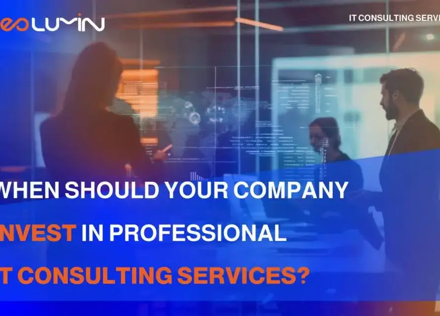 When Should Your Company Invest in Professional IT Consulting Services | Neolumin